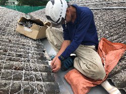 足立区　スレート改修工事4